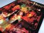 Realms of the Haunting - Edition: Display Edition (Big Box, Codes, Poster)